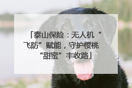 泰山保险：无人机“飞防”赋能，守护樱桃“甜蜜”丰收路