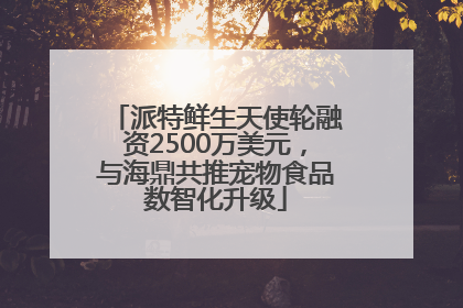 派特鲜生天使轮融资2500万美元，与海鼎共推宠物食品数智化升级