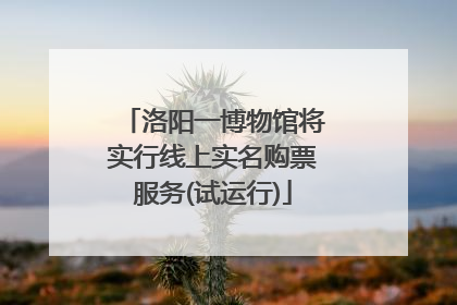 洛阳一博物馆将实行线上实名购票服务(试运行)