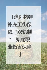 洛阳构建补充工伤保险“双轨制” 兜底职业伤害保障