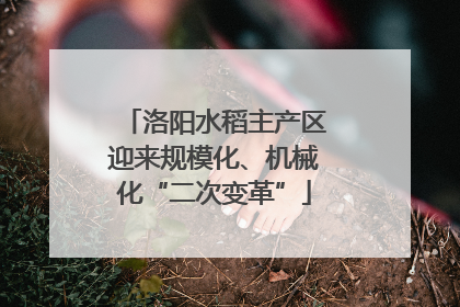 洛阳水稻主产区迎来规模化、机械化“二次变革”