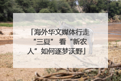 海外华文媒体行走“三夏” 看“新农人”如何逐梦沃野