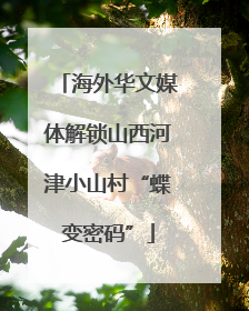海外华文媒体解锁山西河津小山村“蝶变密码”