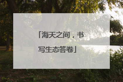 海天之间，书写生态答卷