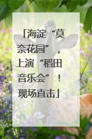 海淀“莫奈花园”，上演“稻田音乐会”！现场直击
