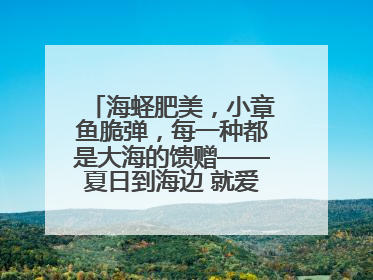海蛏肥美，小章鱼脆弹，每一种都是大海的馈赠——夏日到海边 就爱那口鲜