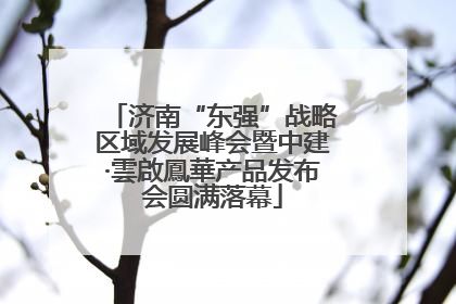 济南“东强”战略区域发展峰会暨中建·雲啟鳳華产品发布会圆满落幕