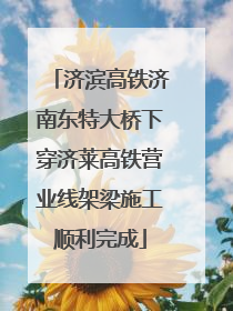 济滨高铁济南东特大桥下穿济莱高铁营业线架梁施工顺利完成