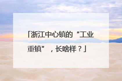 浙江中心镇的“工业重镇”，长啥样？