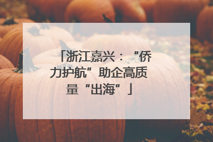 浙江嘉兴：“侨力护航”助企高质量“出海”