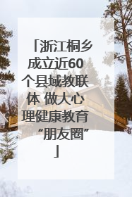 浙江桐乡成立近60个县域教联体 做大心理健康教育“朋友圈”