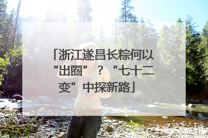 浙江遂昌长粽何以“出圈”？“七十二变”中探新路