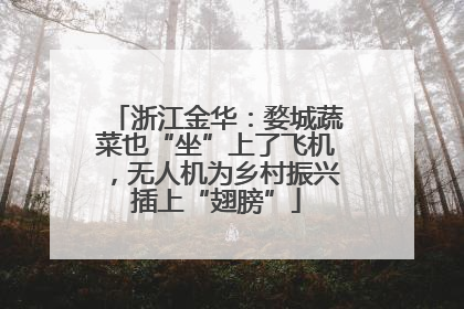 浙江金华：婺城蔬菜也“坐”上了飞机，无人机为乡村振兴插上“翅膀”