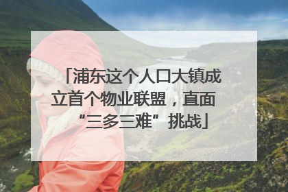 浦东这个人口大镇成立首个物业联盟，直面“三多三难”挑战