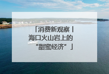 消费新观察丨海口火山岩上的“甜蜜经济”