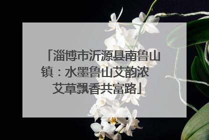 淄博市沂源县南鲁山镇：水墨鲁山艾韵浓 艾草飘香共富路
