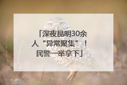 深夜昆明30余人“异常聚集”！民警一举拿下