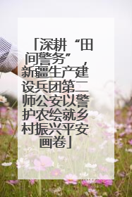 深耕“田间警务”，新疆生产建设兵团第二师公安以警护农绘就乡村振兴平安画卷