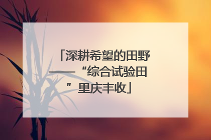 深耕希望的田野——“综合试验田”里庆丰收