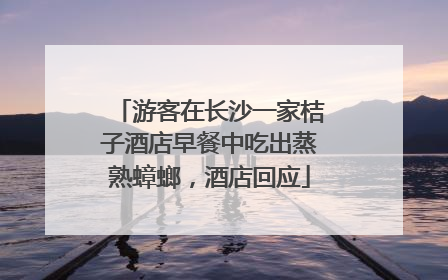 游客在长沙一家桔子酒店早餐中吃出蒸熟蟑螂，酒店回应