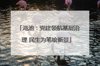 渑池：党建领航基层治理 民生为笔绘新景