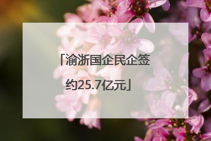 渝浙国企民企签约25.7亿元