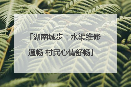 湖南城步：水渠维修通畅 村民心情舒畅