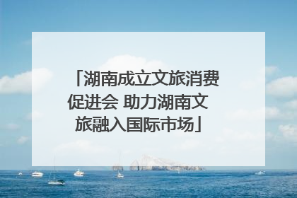 湖南成立文旅消费促进会 助力湖南文旅融入国际市场