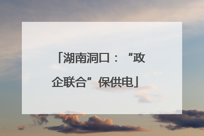 湖南洞口：“政企联合”保供电