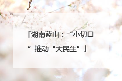 湖南蓝山：“小切口”推动“大民生”