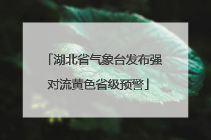 湖北省气象台发布强对流黄色省级预警