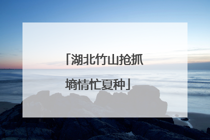 湖北竹山抢抓墒情忙夏种