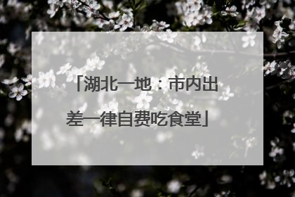 湖北一地：市内出差一律自费吃食堂