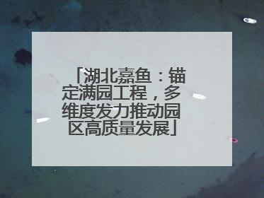 湖北嘉鱼：锚定满园工程，多维度发力推动园区高质量发展