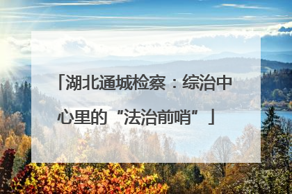 湖北通城检察：综治中心里的“法治前哨”