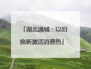 湖北通城：以旧换新激活消费热
