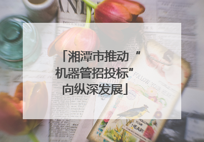 湘潭市推动“机器管招投标”向纵深发展