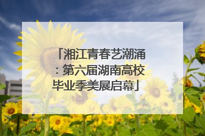 湘江青春艺潮涌：第六届湖南高校毕业季美展启幕