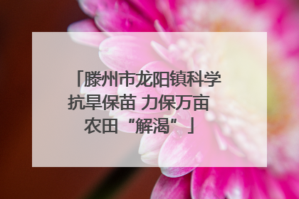 滕州市龙阳镇科学抗旱保苗 力保万亩农田“解渴”