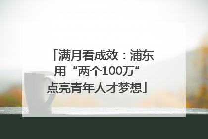满月看成效：浦东用“两个100万”点亮青年人才梦想