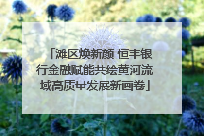 滩区焕新颜 恒丰银行金融赋能共绘黄河流域高质量发展新画卷