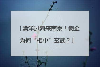 漂洋过海来南京！德企为何“相中”玄武？