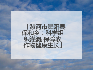 漯河市舞阳县保和乡：科学组织灌溉 保障农作物健康生长