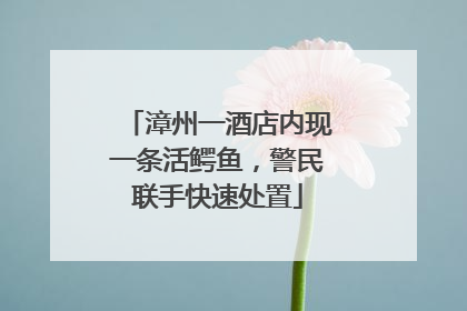 漳州一酒店内现一条活鳄鱼，警民联手快速处置