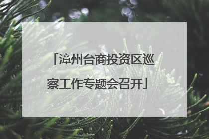 漳州台商投资区巡察工作专题会召开