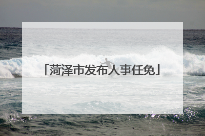 菏泽市发布人事任免