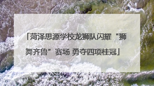 菏泽思源学校龙狮队闪耀“狮舞齐鲁”赛场 勇夺四项桂冠