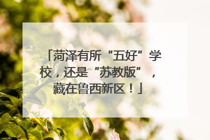 菏泽有所“五好”学校，还是“苏教版”，藏在鲁西新区！