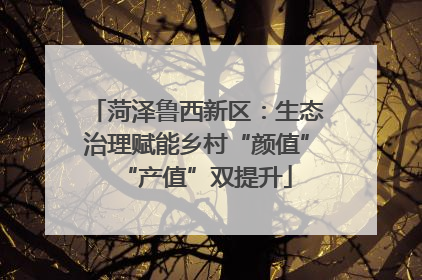 菏泽鲁西新区：生态治理赋能乡村“颜值”“产值”双提升