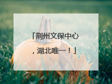 荆州文保中心，湖北唯一！